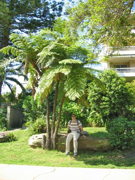 A 050 Promenade autour de Manly.jpg